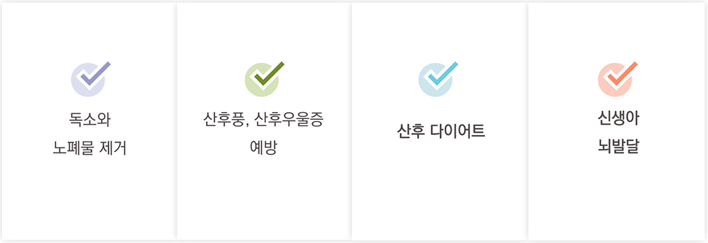 출산 후 건강 관리를 위한 산후보약의 주요 효능 4가지(독소와 노폐물 제거, 산후풍/산후우울증 예방, 산후 다이어트, 신생아 뇌발달)를 체크 표시와 함께 나열한 목록형 이미지.