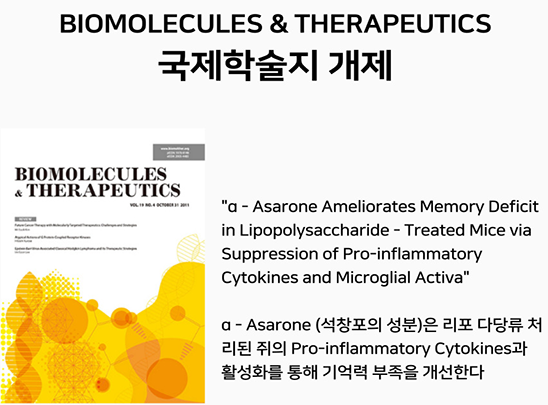 2. 뇌움탕 주요 성분에 대한 국제 학술지 'BIOMOLECULES & THERAPEUTICS' 게재 이미지. 'α-Asarone (석창포 성분)이 쥐의 기억력 부족을 개선한다'는 연구 결과를 통해 뇌움탕의 뇌신경세포 발달 및 기억력 개선 효과를 입증.